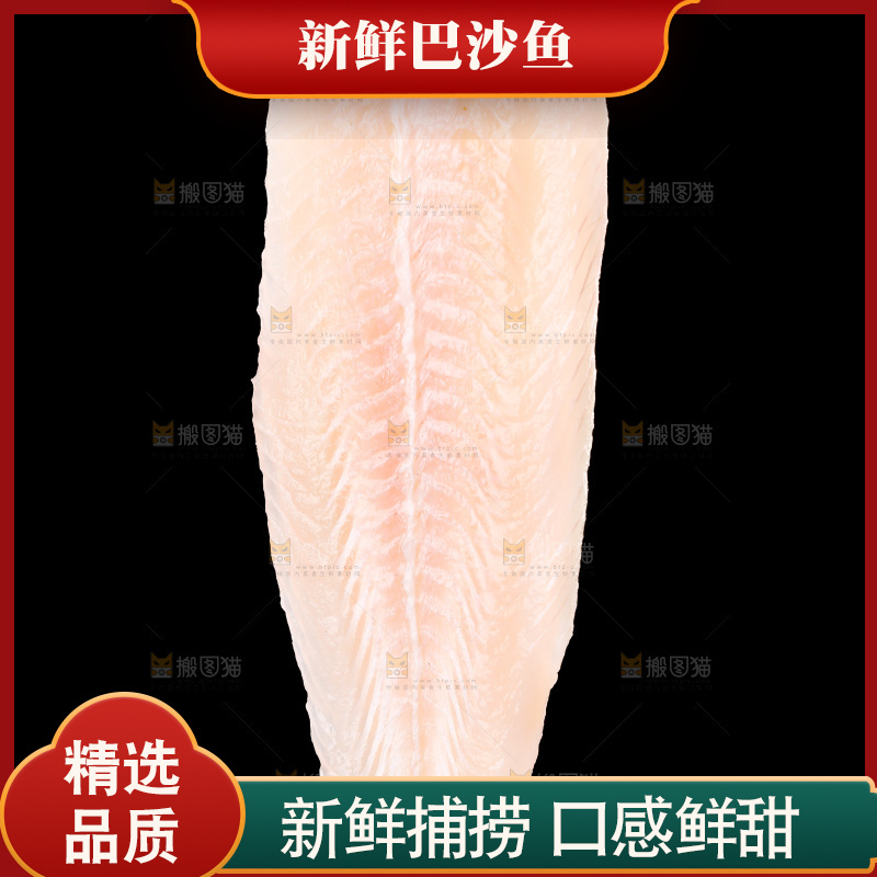 夹子夹着一条巴沙鱼