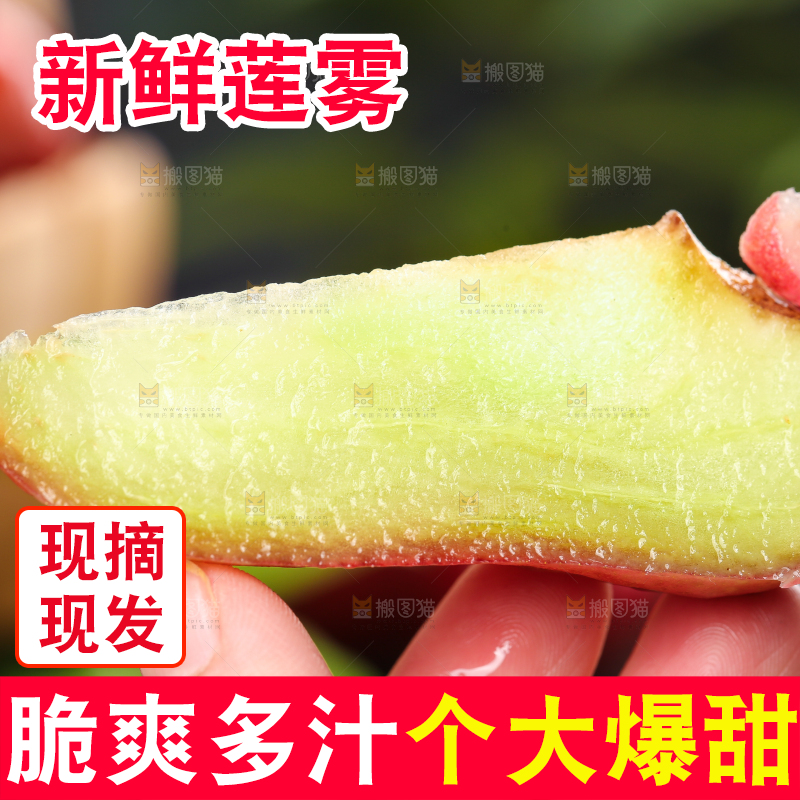 手拿切开的莲雾