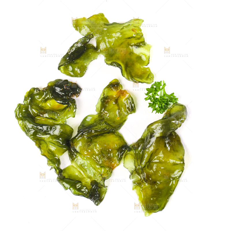 白底上的地皮菜