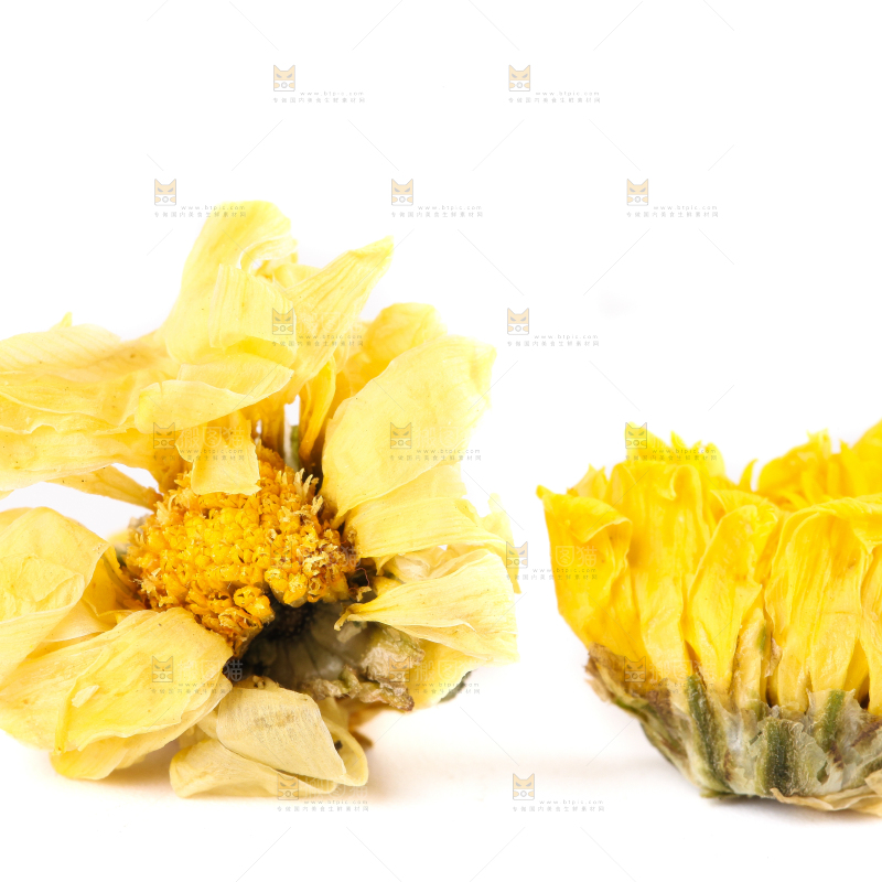 白底上的干菊花