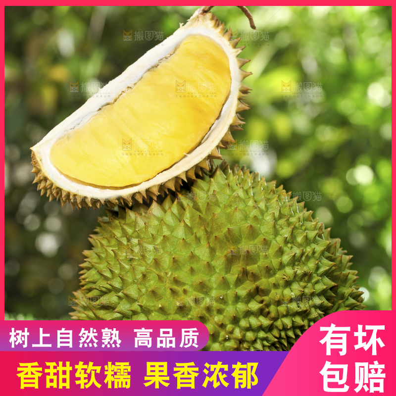 草地上摆放着甲仑榴莲