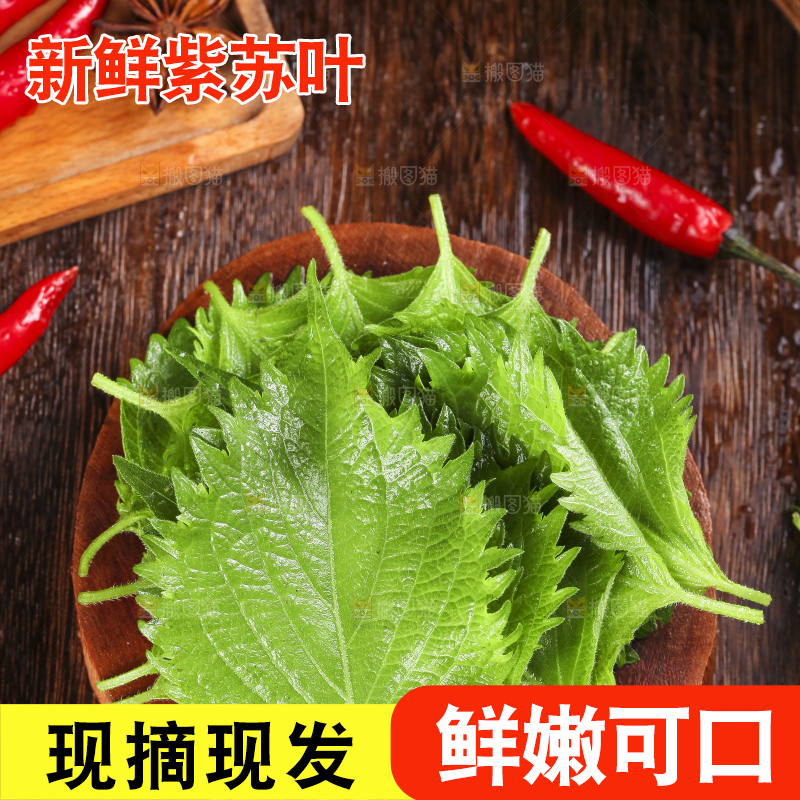 木底上的新鲜紫苏叶