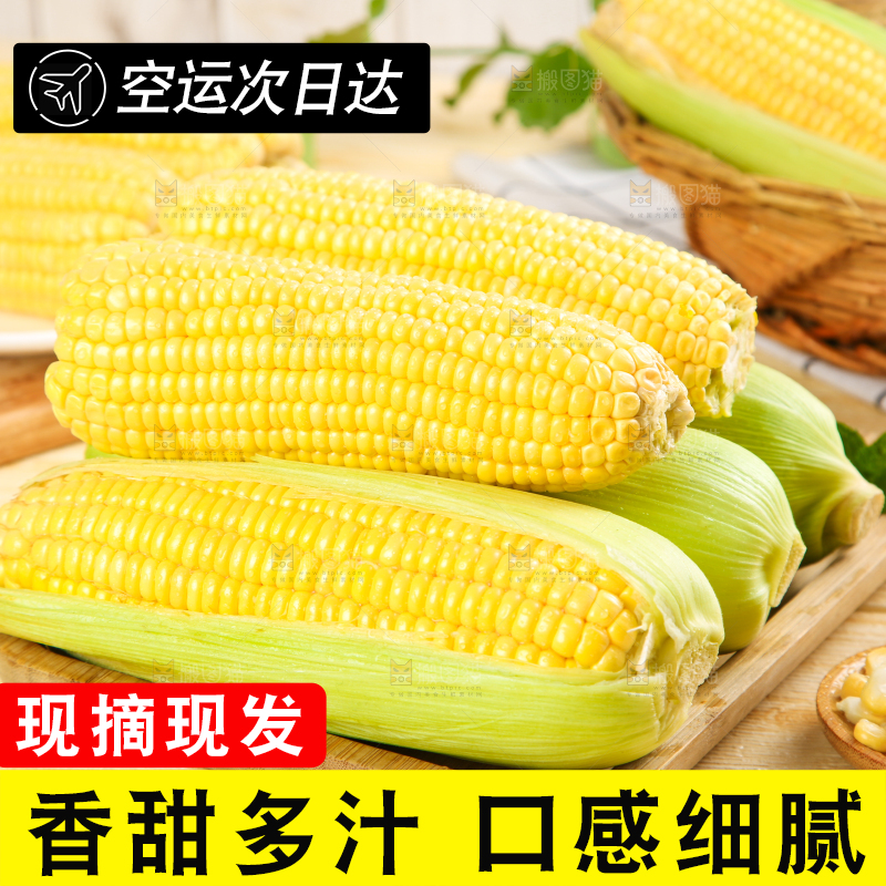 盘子里装着东北玉米