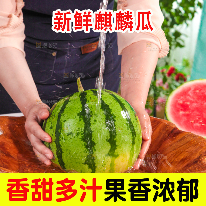 盆里的新鲜西瓜