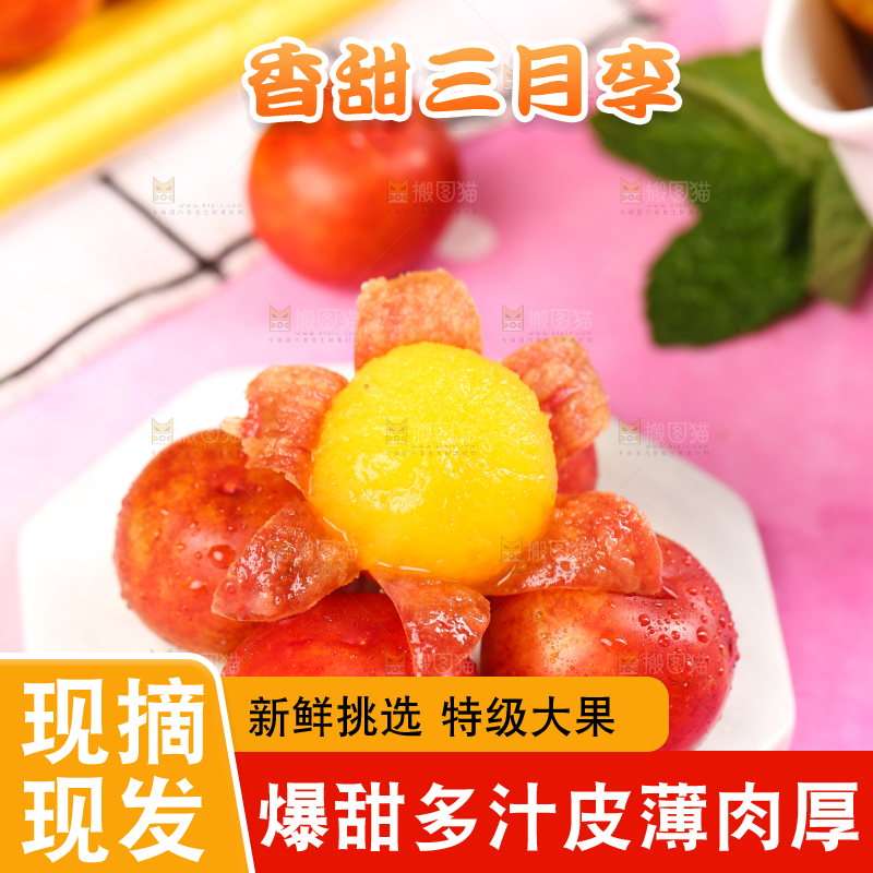 白石板上摆放着钱排三月李