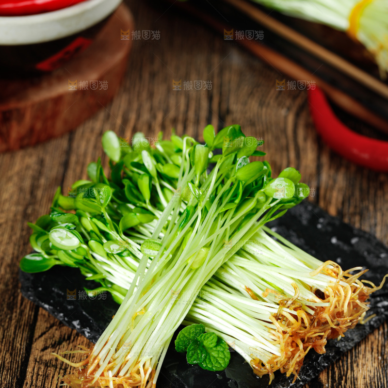 黑石板上的香椿苗