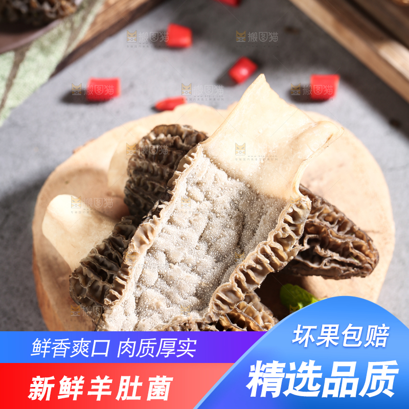 木板上的野生羊肚菌