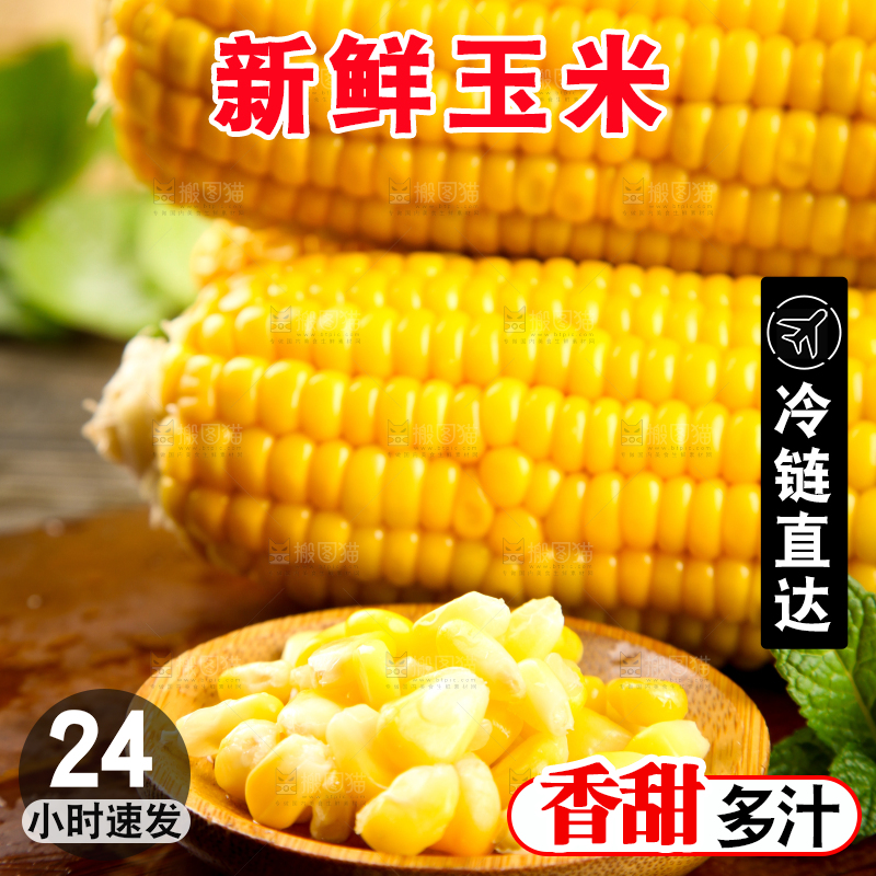 木板上的东北玉米
