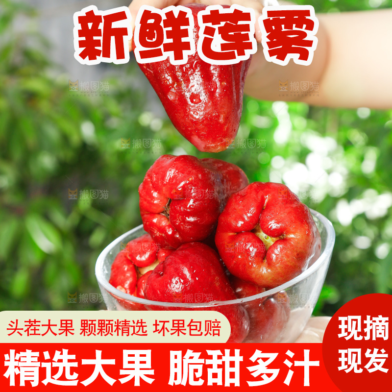 手拿一碗新鲜莲雾