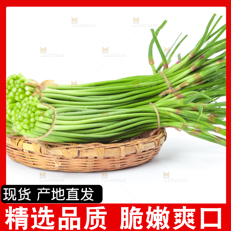 一盘蒜苔放在白底上