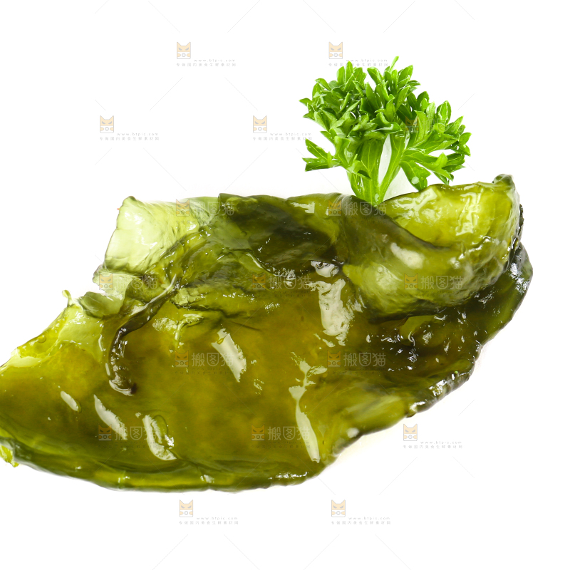 白底上的地皮菜