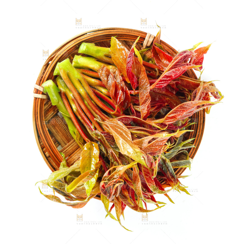 一盘香椿芽放在白底上