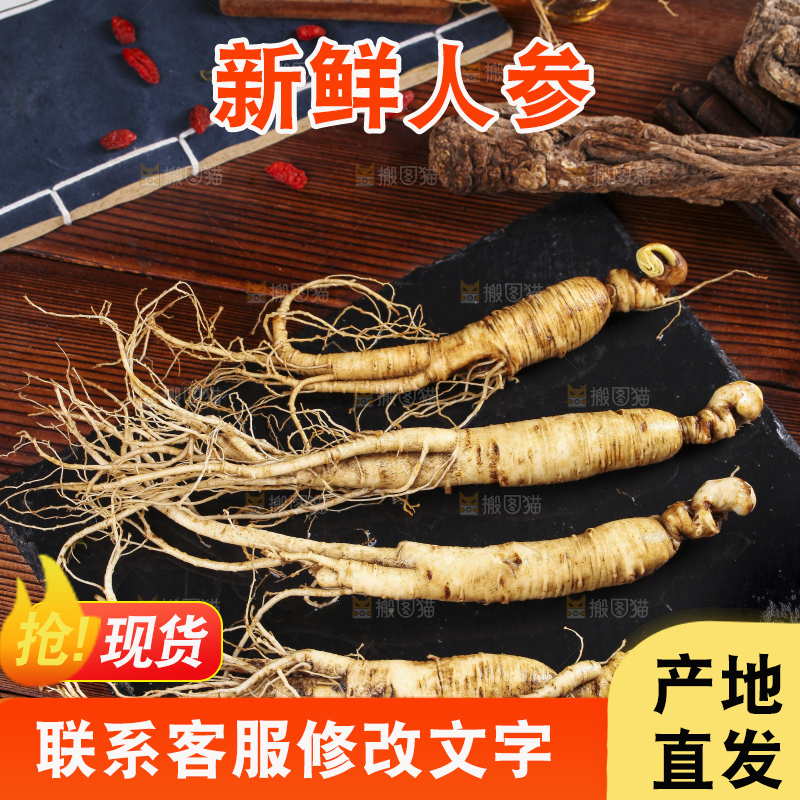黑石板上的东北长白山人参