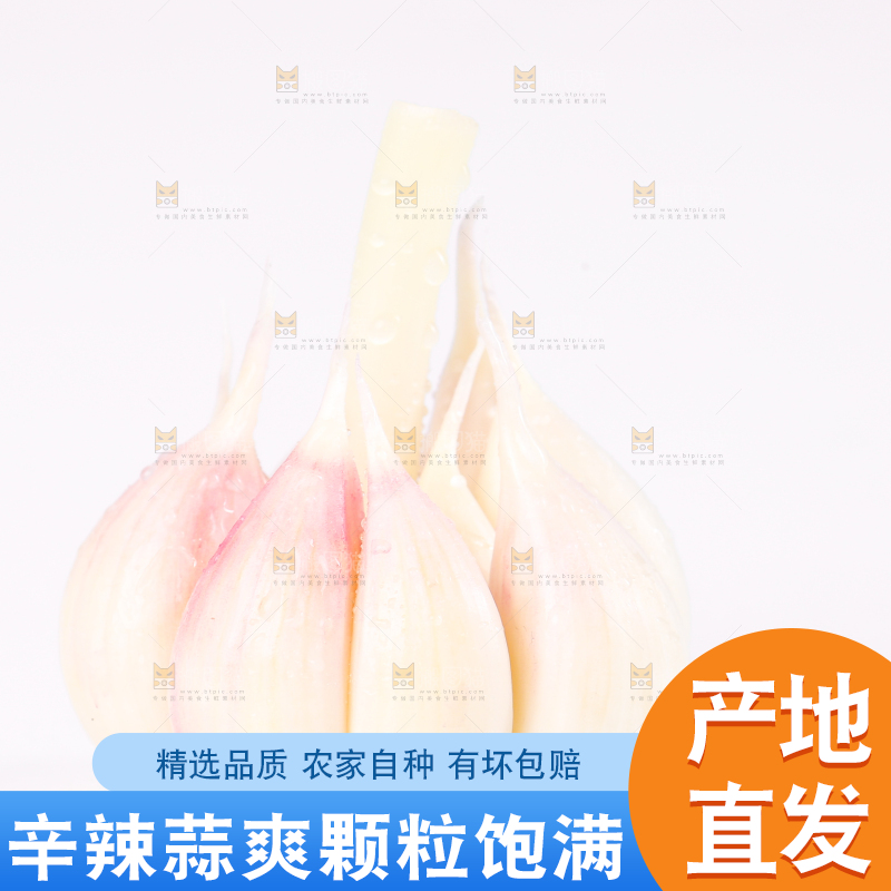 白底上放着紫皮大蒜