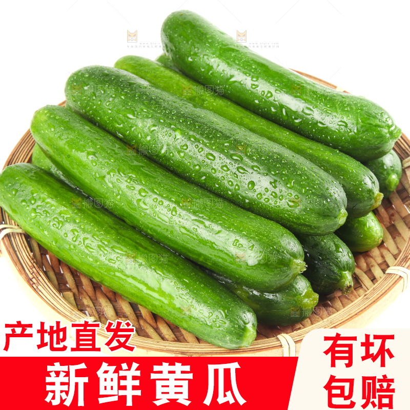 篮子里装着水果小黄瓜