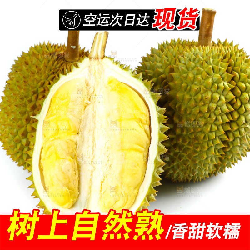 白底上的泰国榴莲