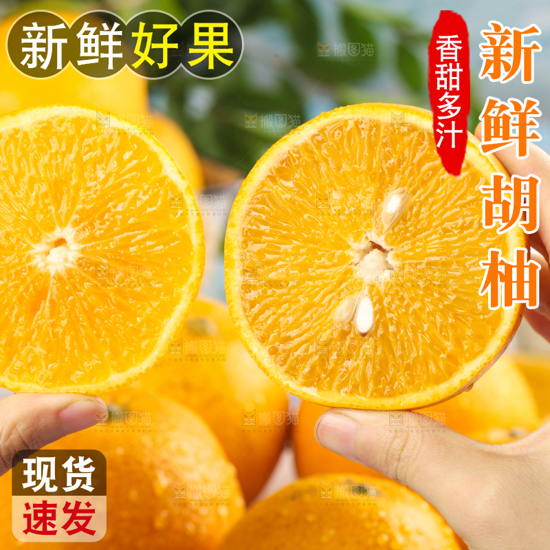 手里拿着新鲜胡柚