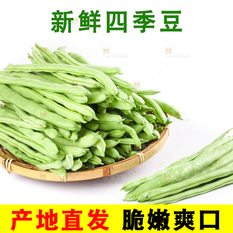 篮子里的云南无筋豆