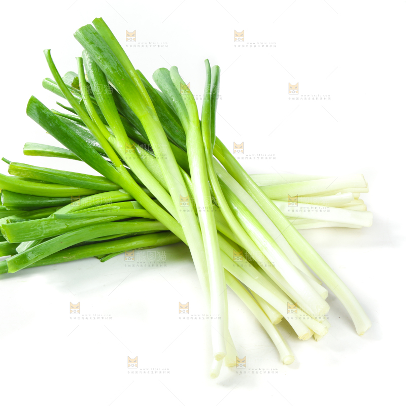 白底上的大葱