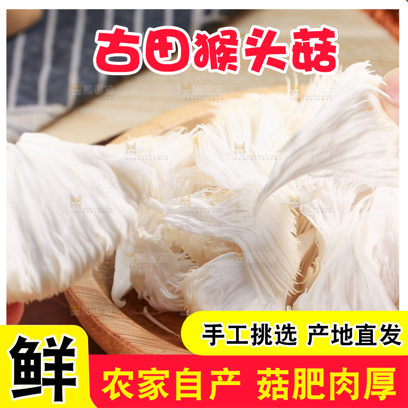 木板上放着长白山猴头菇