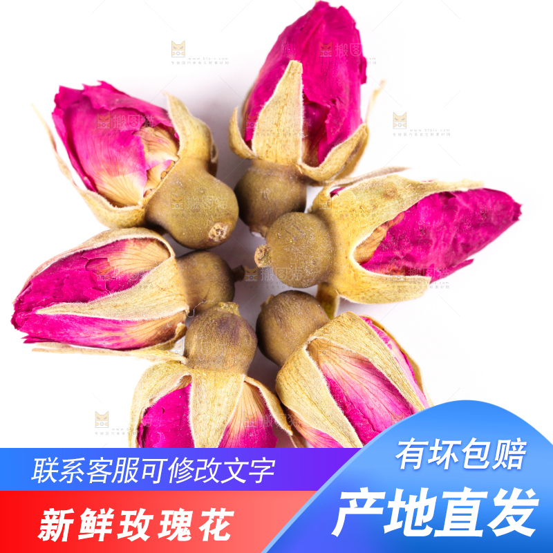 白底上的玫瑰花干