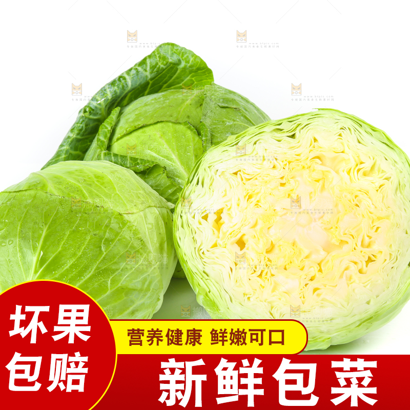 白底上放着切开的包菜