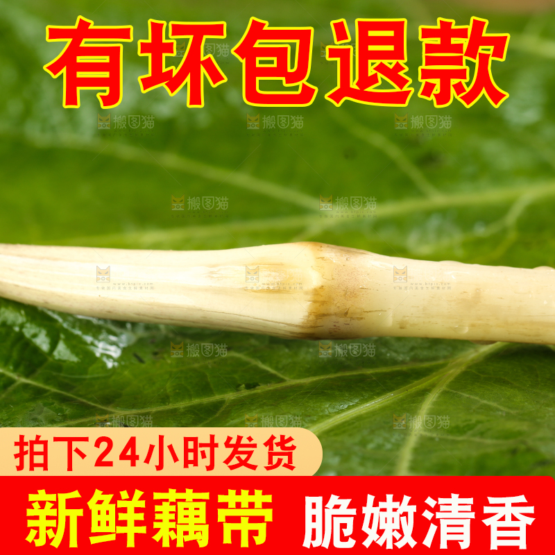 荷叶上放着洪湖藕带