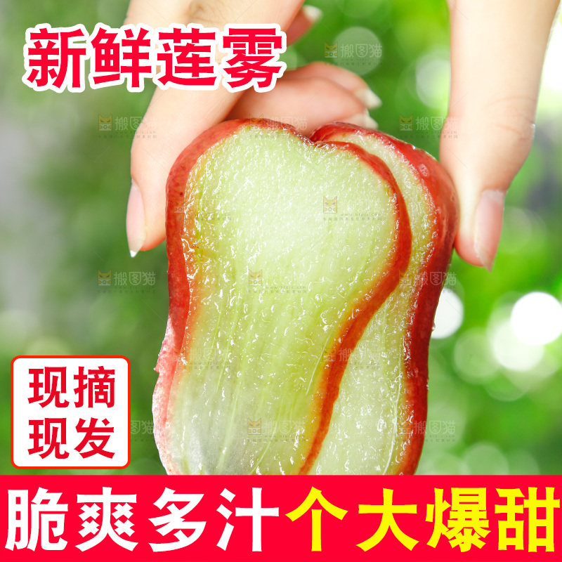 手拿切开的新鲜莲雾