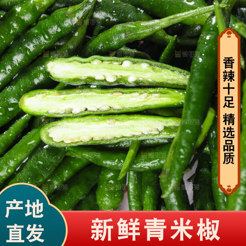 浅底上的青米椒