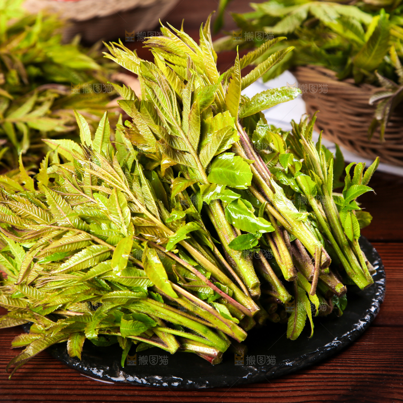 黑石板上的山东香椿芽