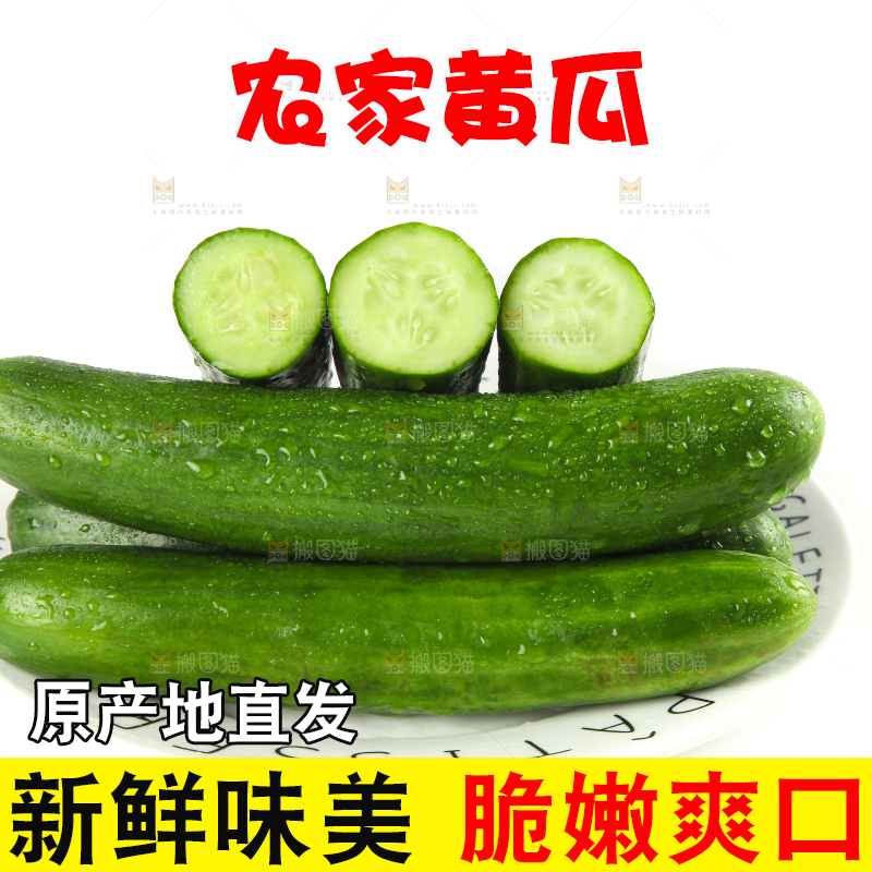 盘子里的无刺小黄瓜