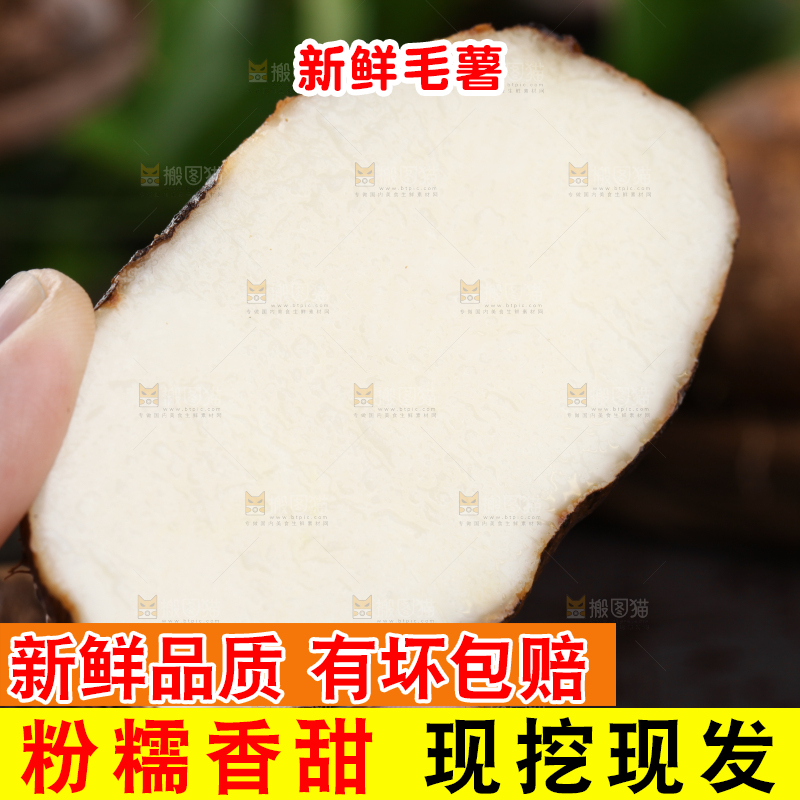 手拿切开的毛薯