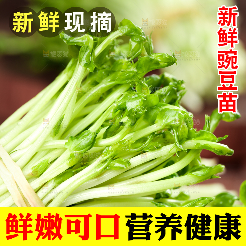 黑石板上的豌豆芽苗菜