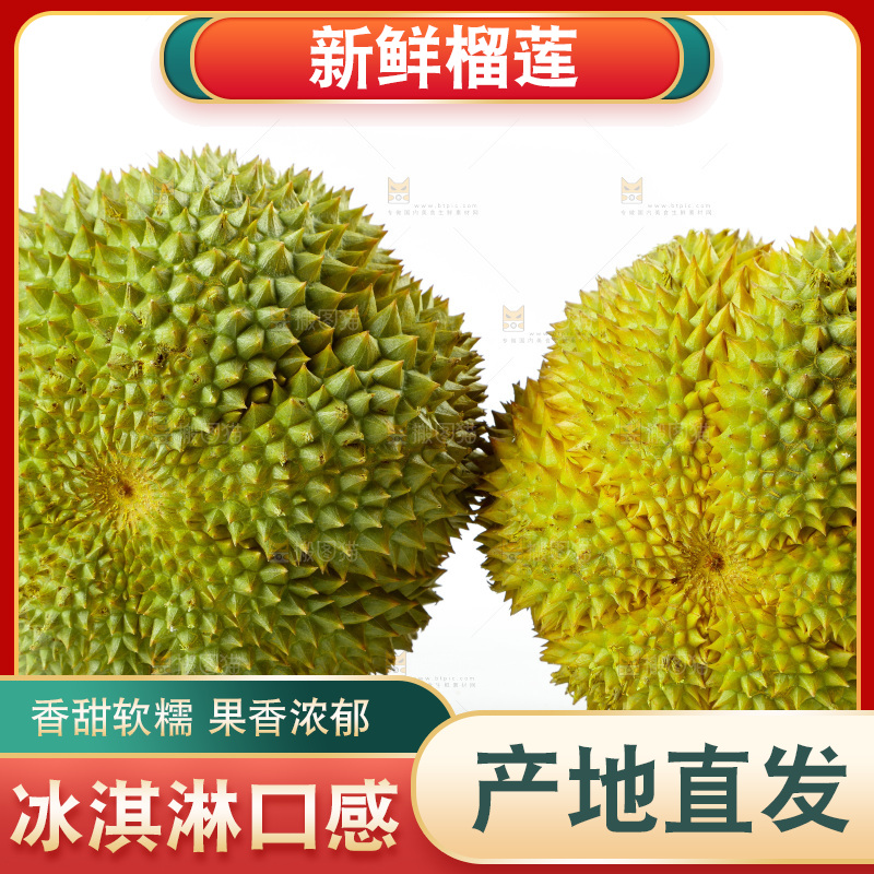 白底上的新鲜榴莲