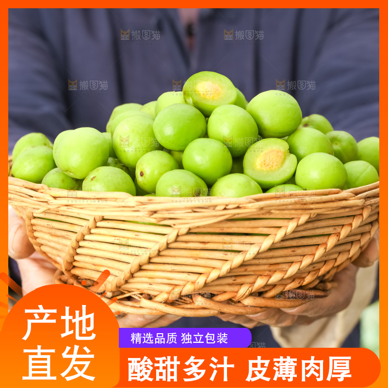 手拿一筐青梅
