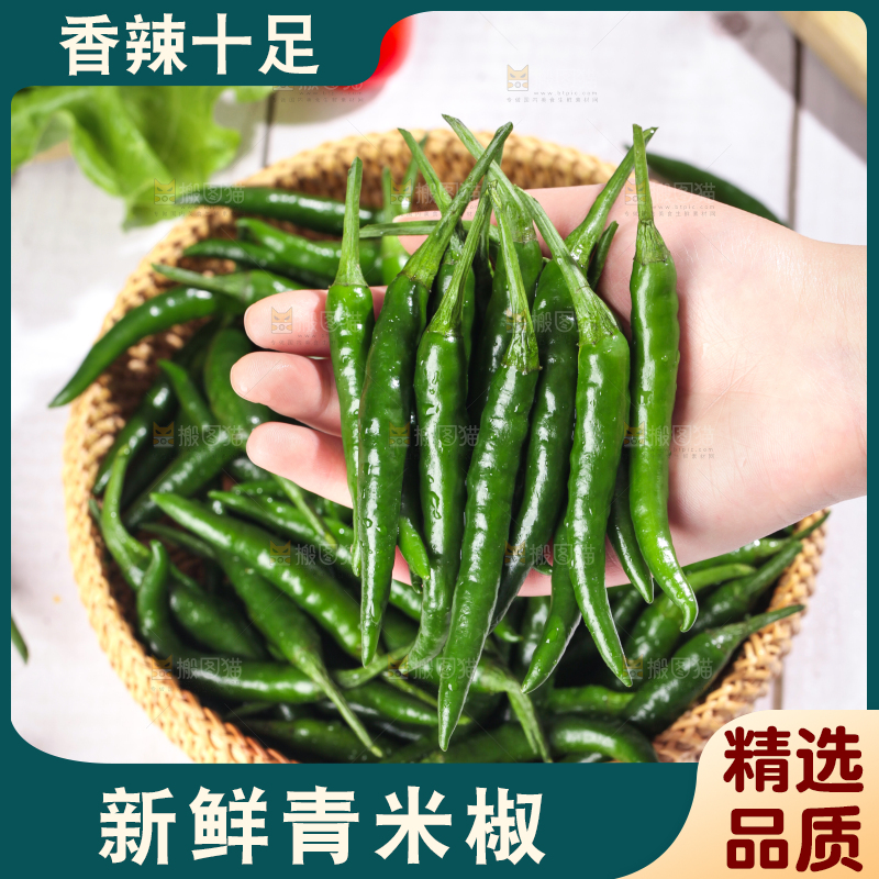 手拿新鲜青米椒