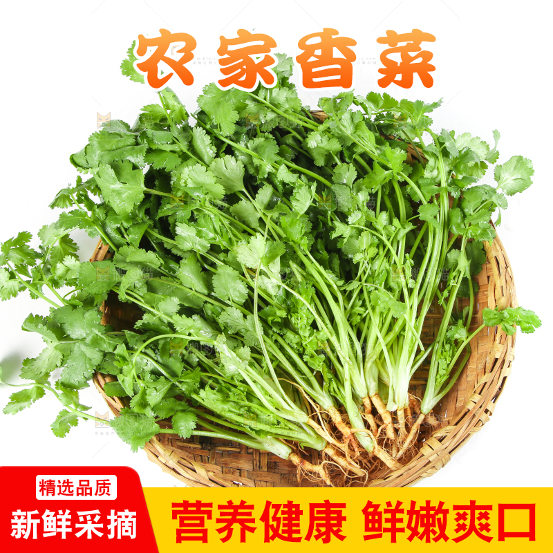白底上放着一筐农家香菜