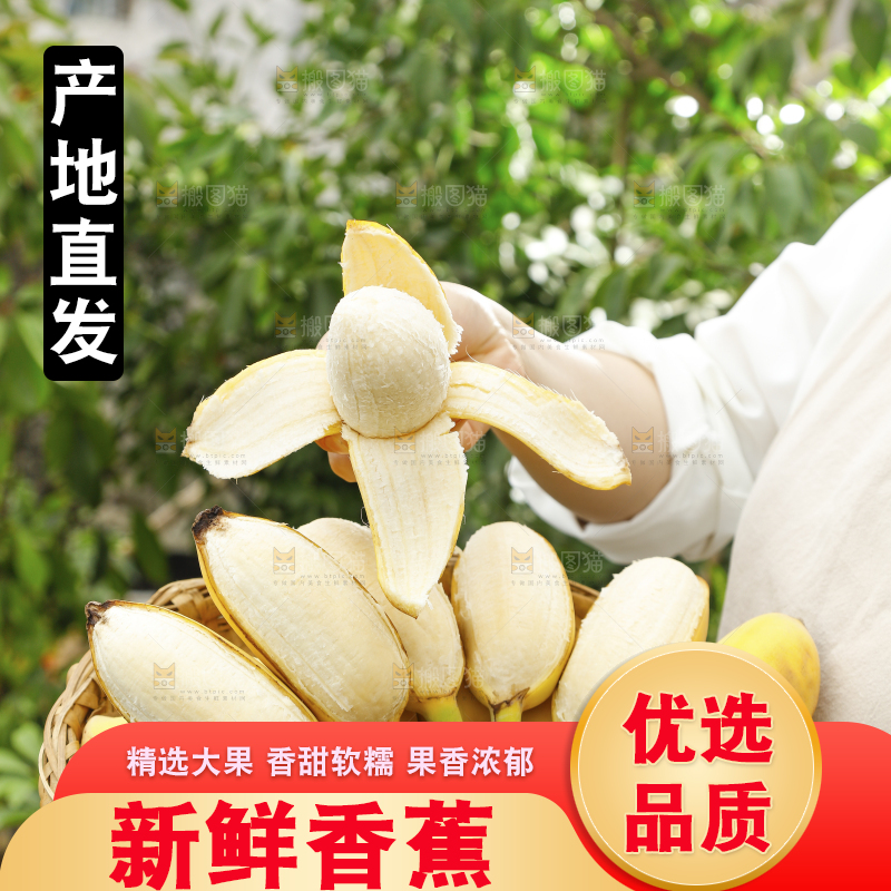 手拿剥皮的海南苹果蕉