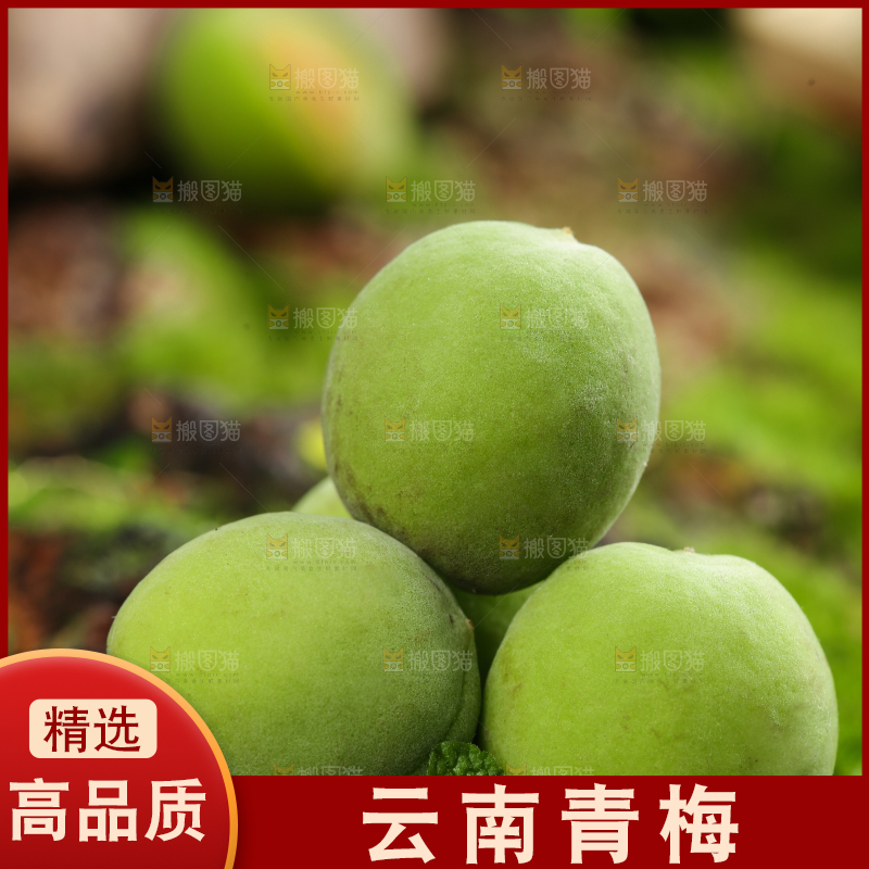 木底上放着云南大理青梅