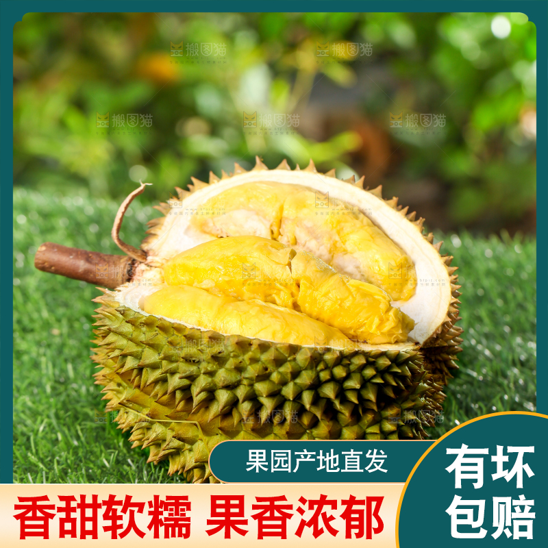 草地上摆放着甲仑榴莲
