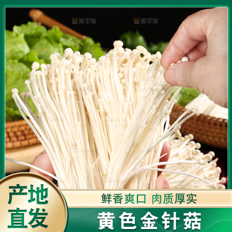 手拿新鲜金针菇