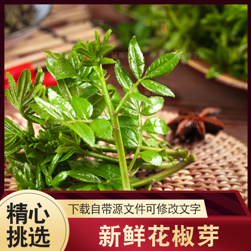 木底上的麻香花椒芽