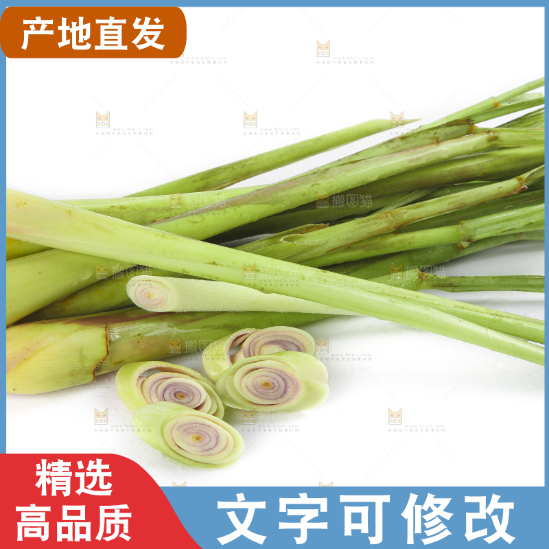 白底上的泰国香茅草