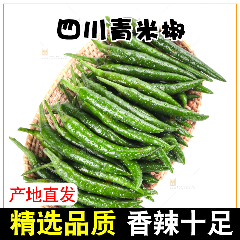 一盘新鲜的青小米辣放在白底上