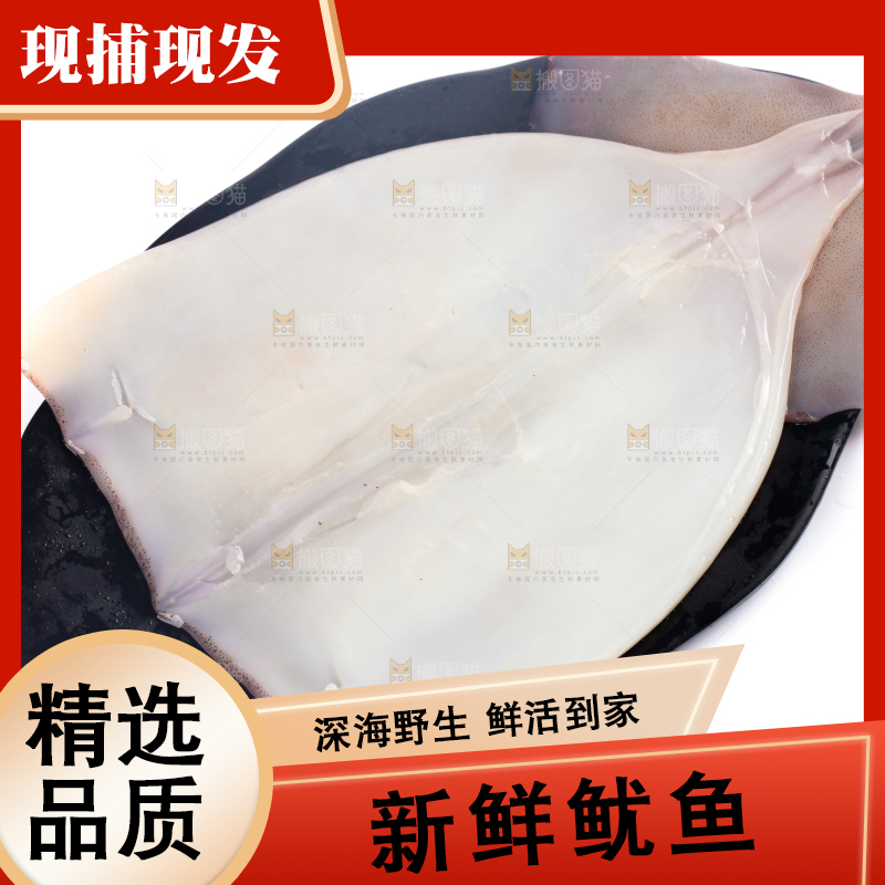 盘子里装着鱿鱼筒