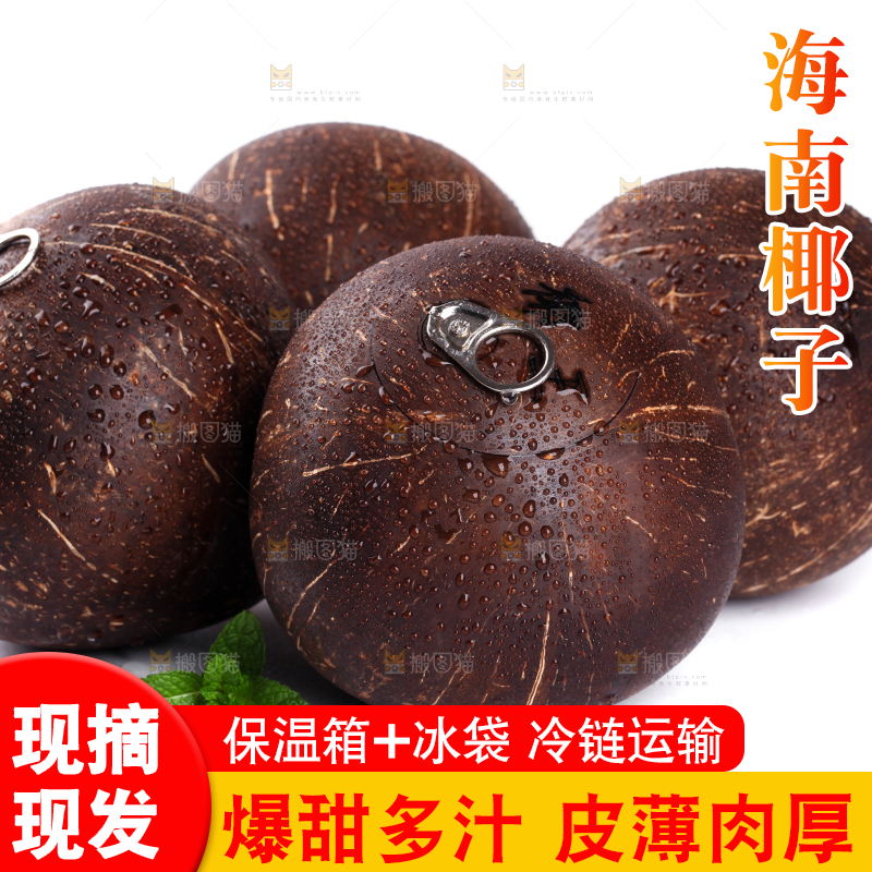 白底上放着海南椰王