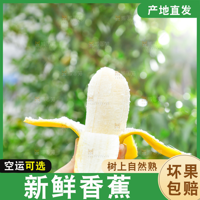 手拿剥皮的海南苹果蕉