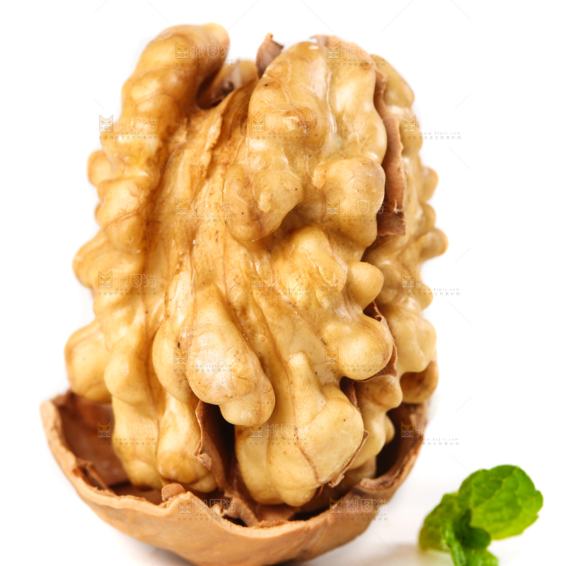 白底上的核桃仁