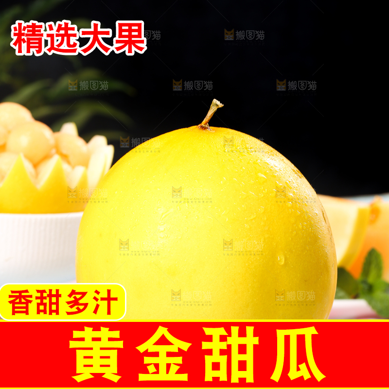 浅底上的黄河蜜瓜
