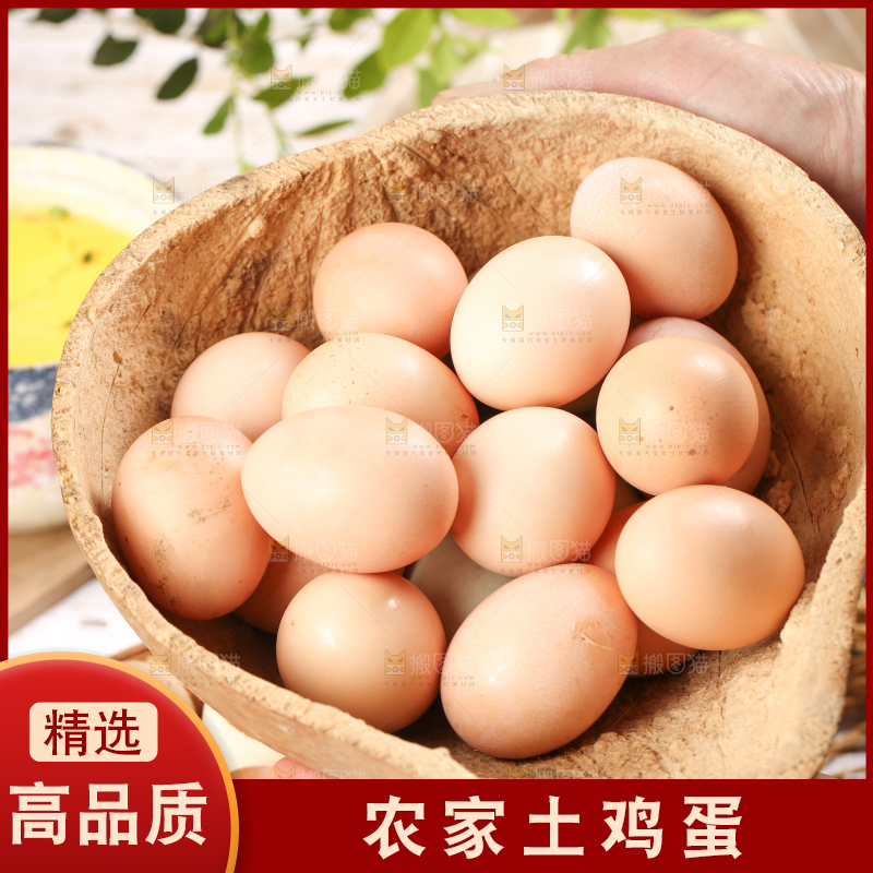 瓢里装着农家土鸡蛋